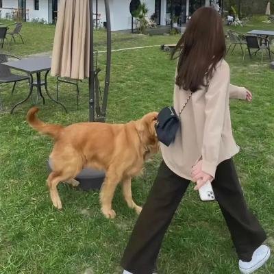 美少爷之恋